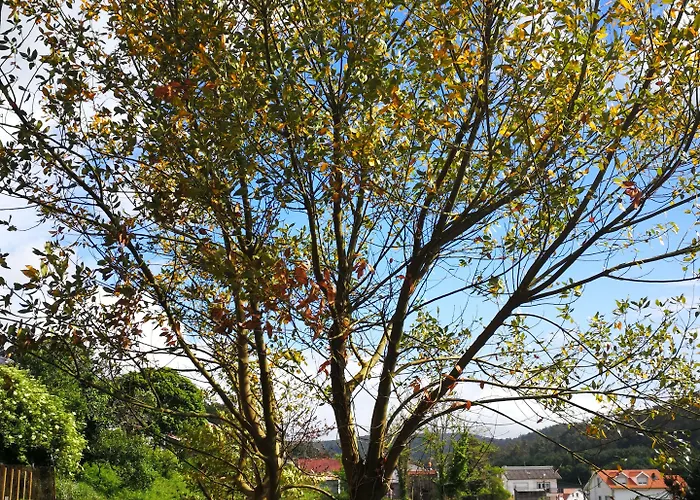 Jaktstuga Da Ria Lires