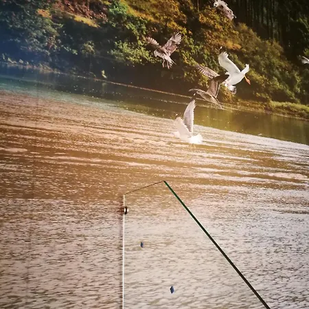 Alojamento de Turismo Selvagem Da Ría