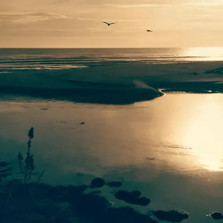 Alojamento de Turismo Selvagem Da Ría Lires