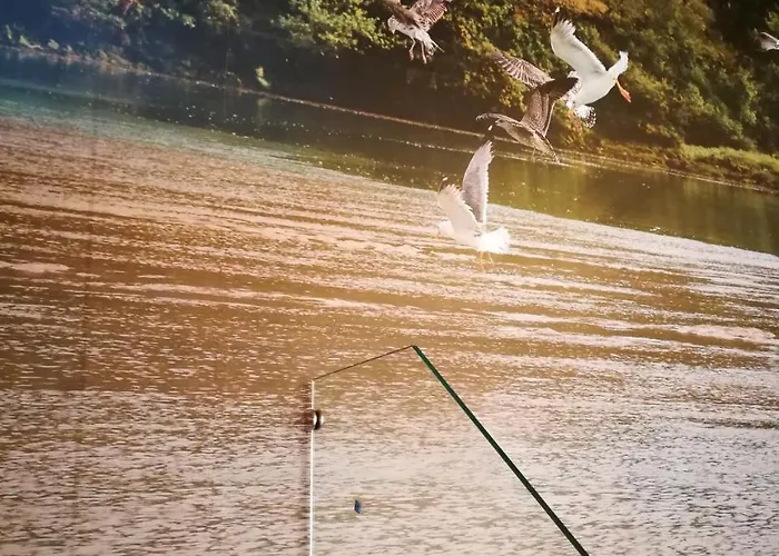 Domek letniskowy Da Ria